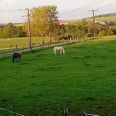 Jad Ranch Penzion Raucourt-et-Flaba