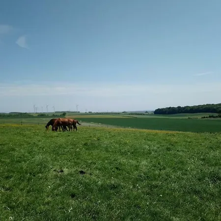 Jad Ranch Raucourt-et-Flaba